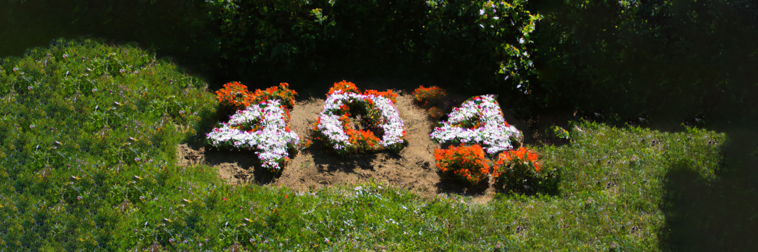 A flower bed arranged to spell out the numbers '404'