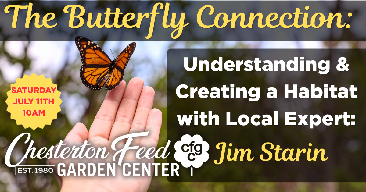 The Butterfly Connection: Understanding and Creating a Habitat