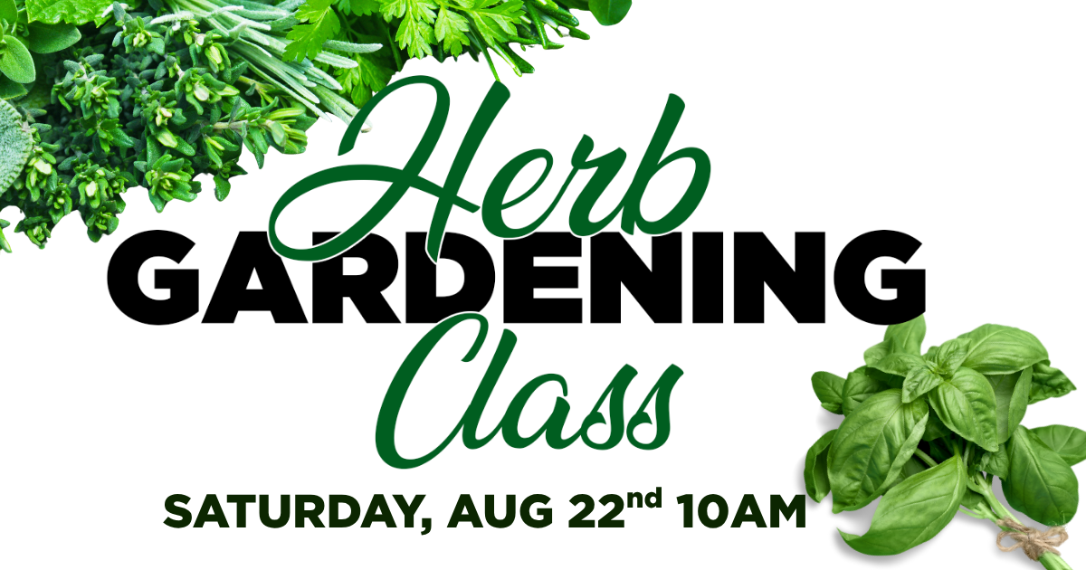 Herb Gardening Class