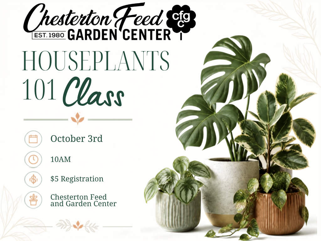Houseplants 101 Class