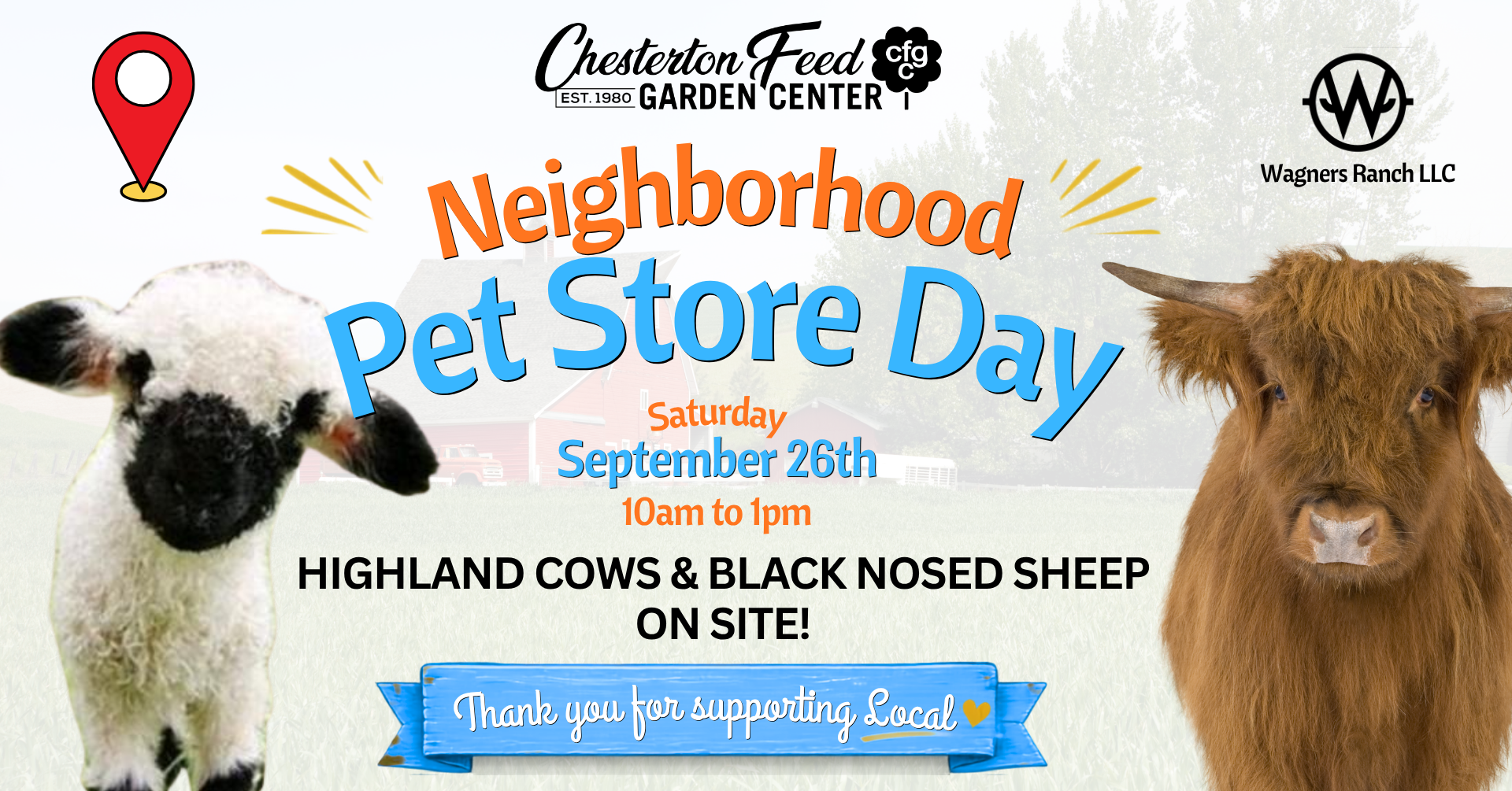 Neighborhood Pet Store Day with Highland Cows & Black Nosed Sheep!
