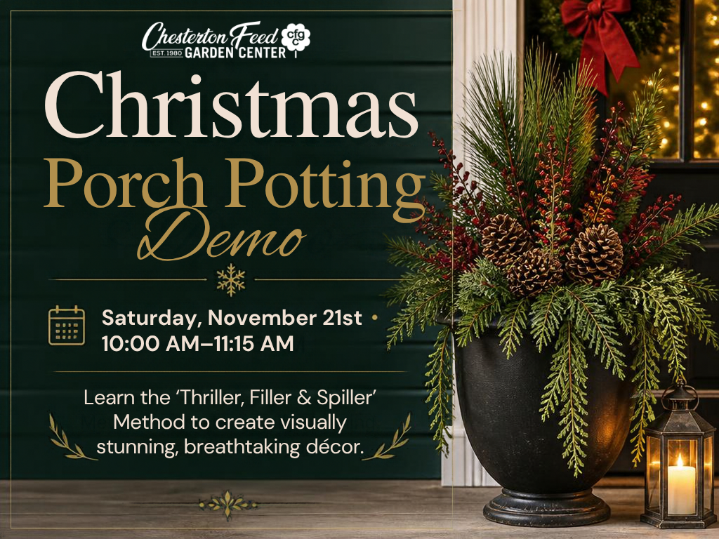 Christmas Porch Potting Demo