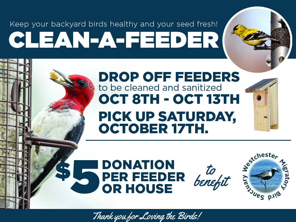 Clean-A-Feeder!